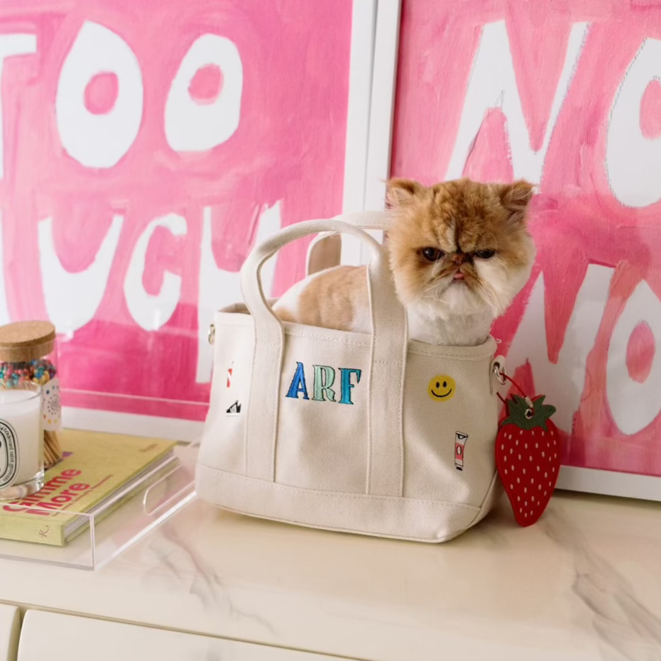 Mini Canvas Tote